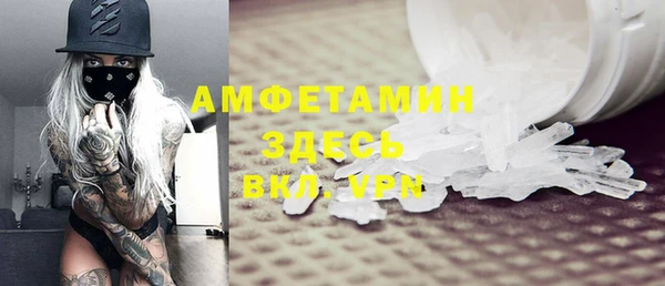 мдпв Богородск