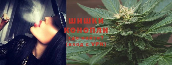 мдпв Богородск