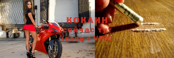 стаф Бугульма