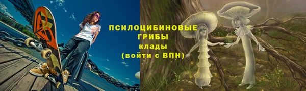 герыч Бронницы